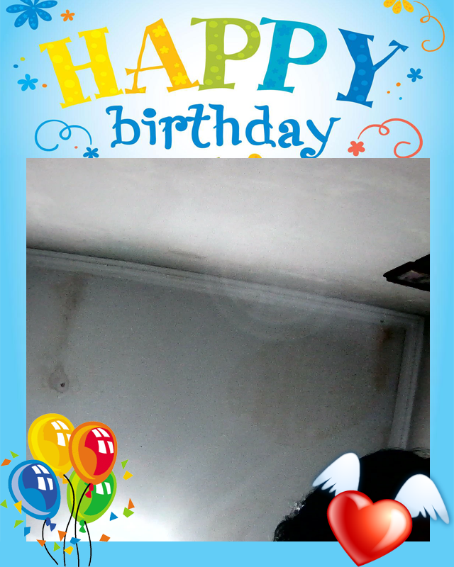 Hasil Foto